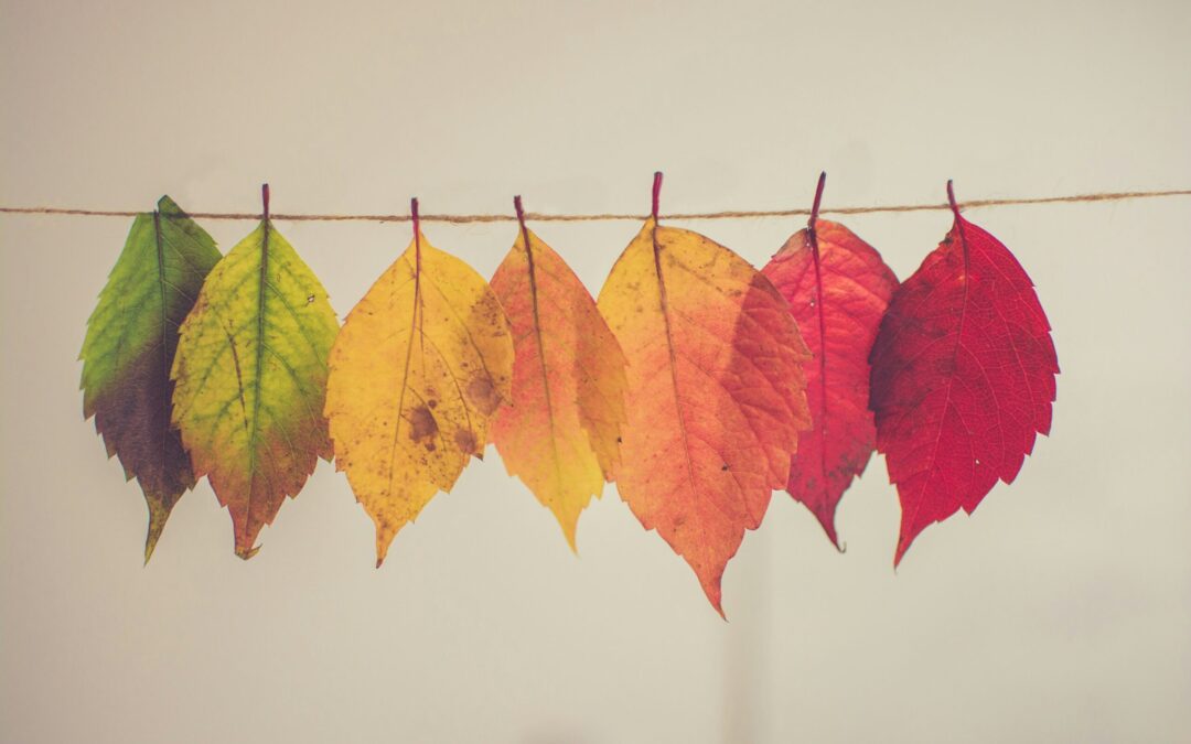 Permanence, Possibility, and the Power of Our Stories