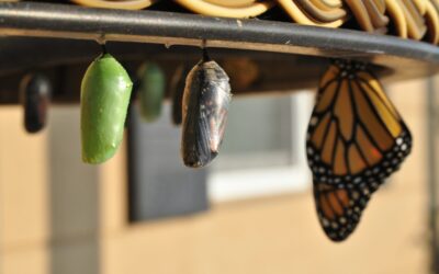 The Natural Alternative to Psychiatric Drugs is Change
