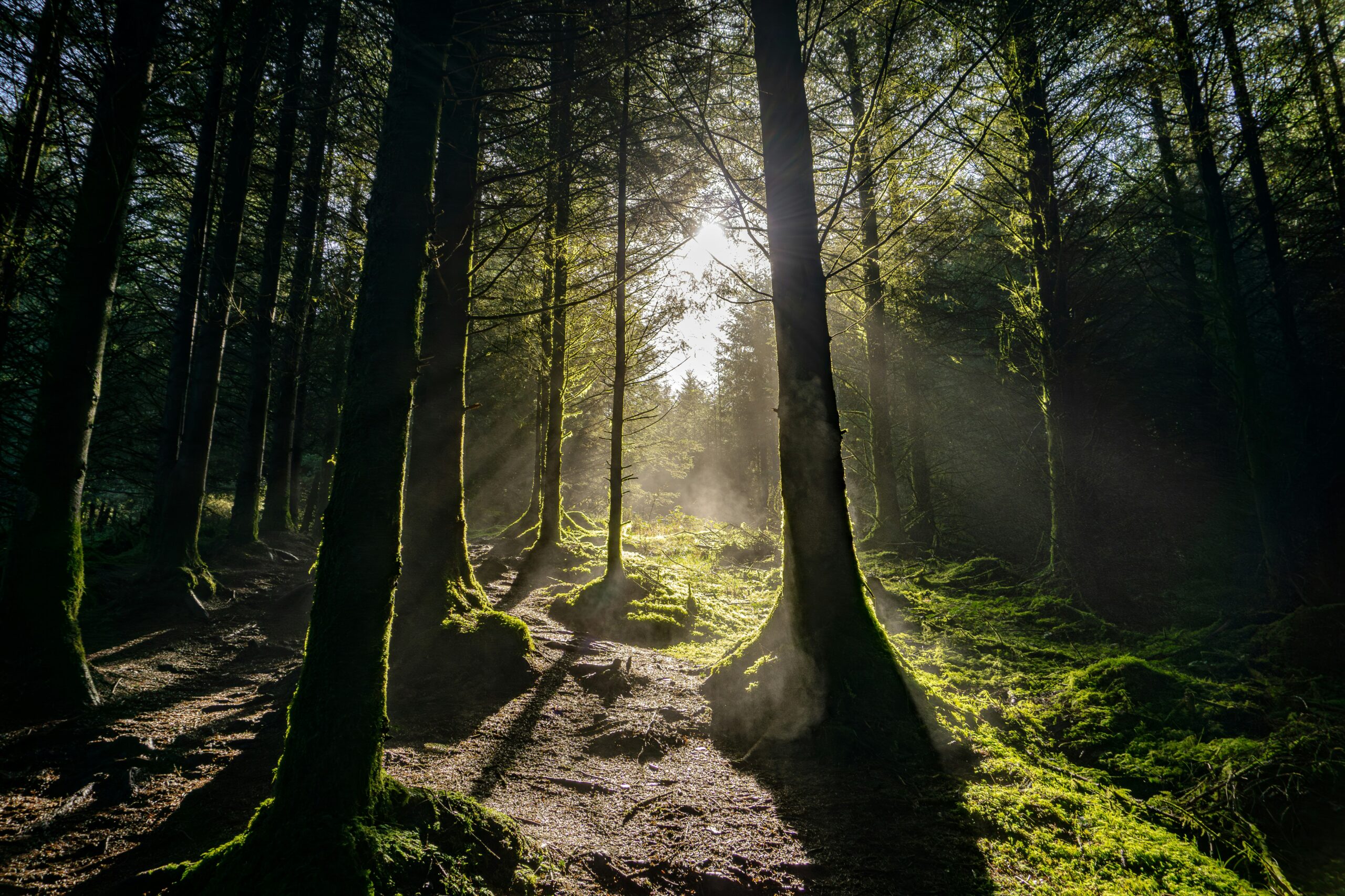 Healing Is Living: A Real Client Story of Withdrawal, Change, and Reclaiming Life